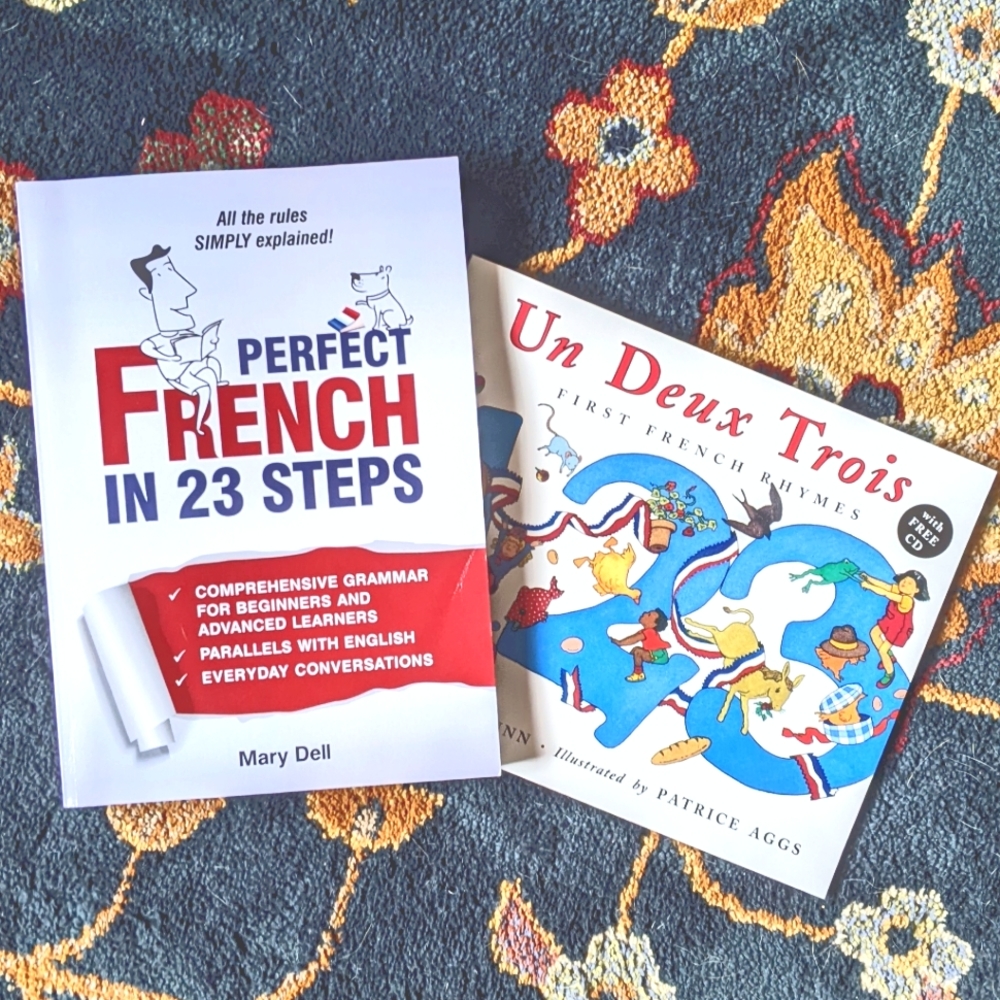 Beginner French Language Book Set • Perfect French in 23 Steps Grammar Book